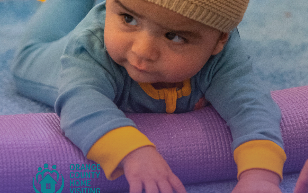 Celebrating Home Visitors: Abrazar, OMID, & The Priority Center